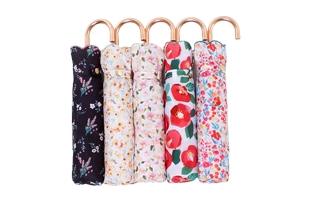 3204202 Parapluie Pliable Floral