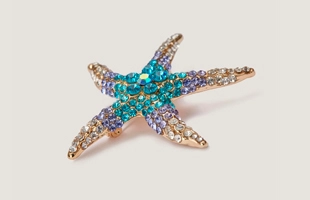 Broche Étoile de mer Multi Blue Stone 3104169