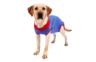 Costume de récupération bleu 4305342 pour chiens