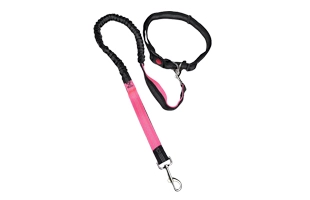 4305358 élastique pour chien,