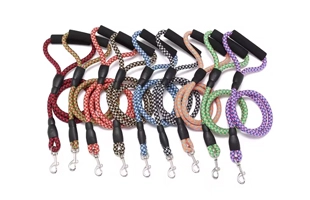 4305361 Multi-couleur épaisse pour chien de compagnie laisse