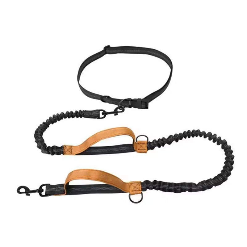 4305366 dog leash cheap price wholesale supplier